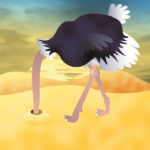 Ostrich with head in sand