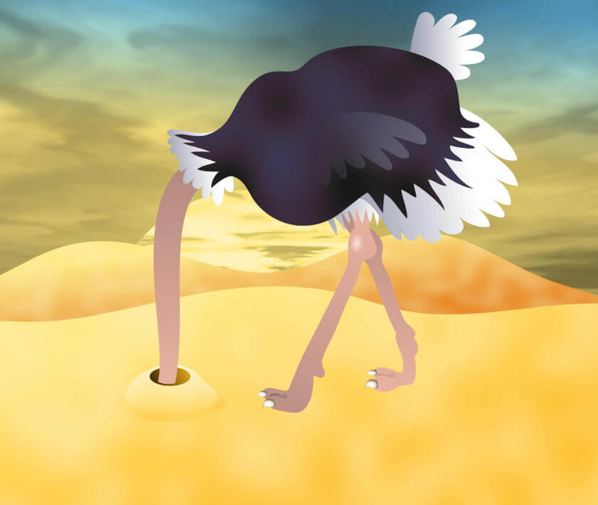 Ostrich with head in sand